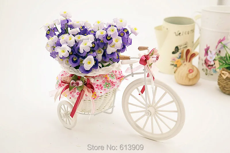 SAM_6081