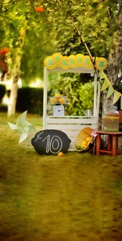 

Leisurely Weekend Pinwheel Photography Backdrops For Family Photo shot. Easter Theme Background Spring Backdrops D-1608