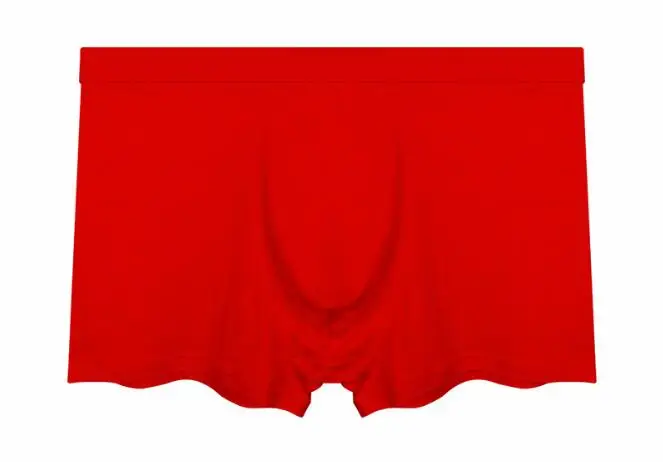 5 шт./партия, мужское нижнее белье, боксеры, шорты из бамбукового волокна, бесшовные u-образные выпуклые, очень мягкие сексуальные мужские трусы-боксеры - Цвет: Красный
