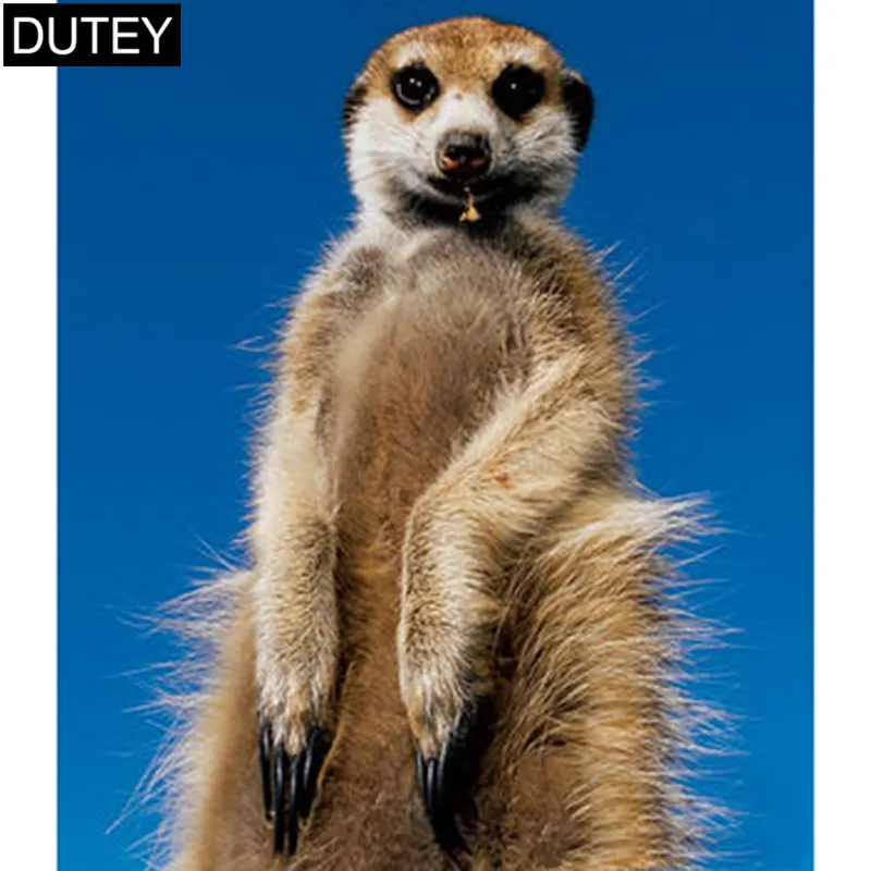 5D DIY Diamond Embroidery Diamond Cross Stitch Rhinestone Mosaic decorated look Mongoose