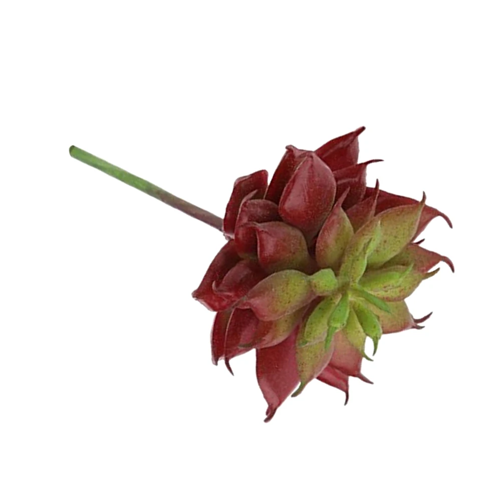 Реалистичные искусственные суккулентные кактусы маленькие пластиковые суккулентные растения без горшков для украшения дома и сада(красновато-коричневый