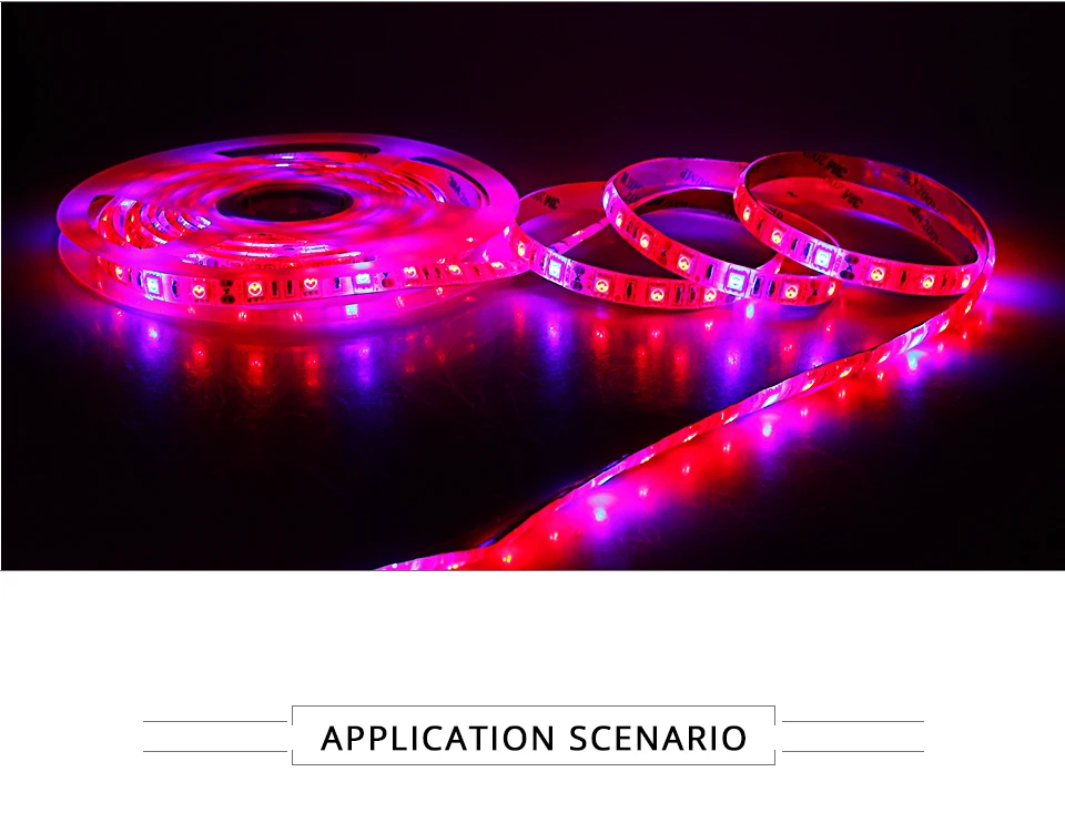 Plant Grow Lights Full Spectrum LED Strip 12V Flowers Phyto Lamp 5M Dimmable Red Blue For Greenhouse Hydroponic + Power Adapter (12)