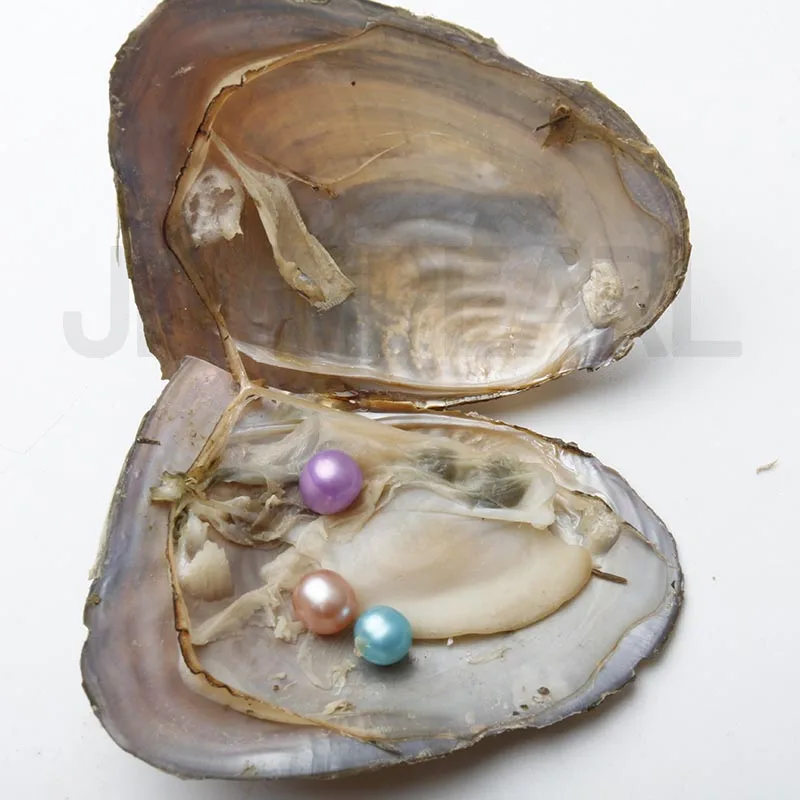 JNMM 30Pcs Freshwater Oysters with Three Pearl Beads 7-8mm Round Shape pearls for DIY Gift Jewelry Vacuum-packed | Украшения и