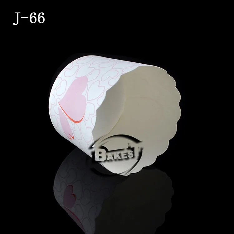 J-66(3)