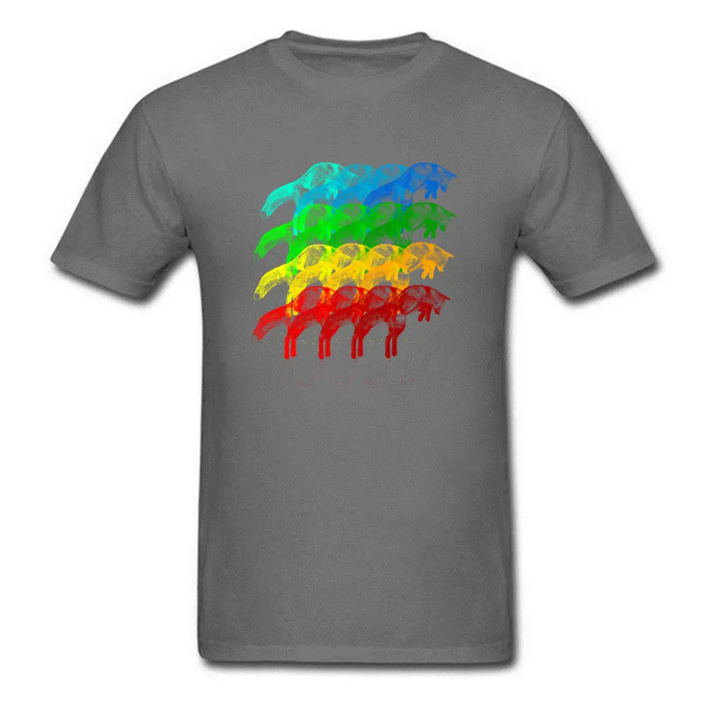 Leaping Rainbow Pure Cotton T-Shirt for Students Short Sleeve Summer Tops Tees 2018 Popular Summer Round Neck T Shirt Normal Leaping Rainbow carbon