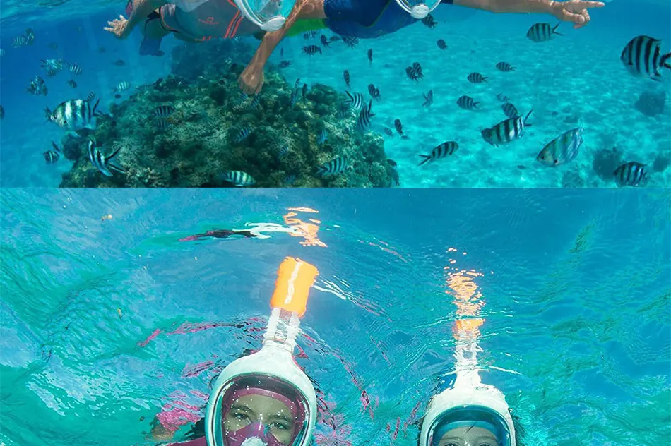 Full Face Snorkel Mask Full Face Snorkel Mask