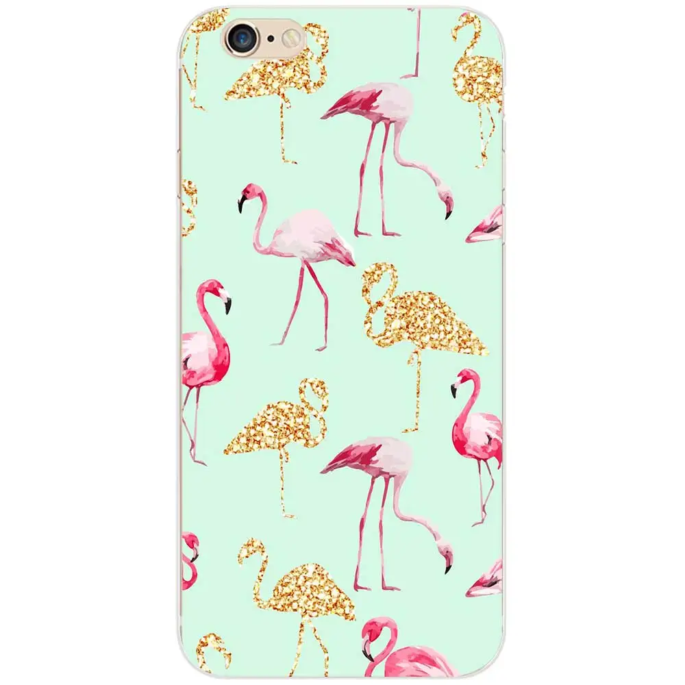 flamingos1