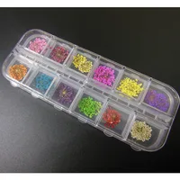 Free Shipping Nail Art Dry Dried Flowers Decoration With 12 Different Colors nail art diy tips 1