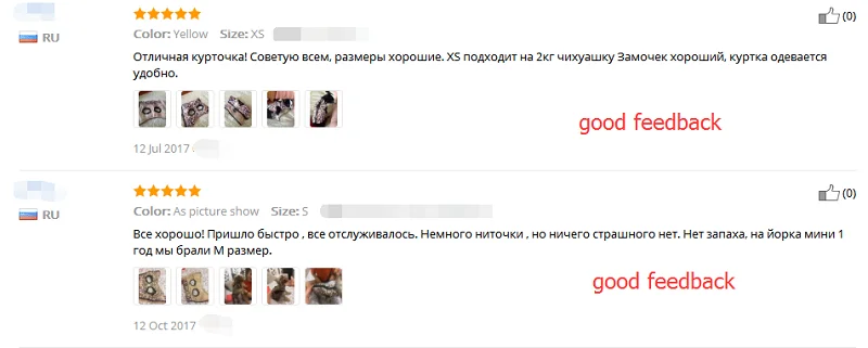suit for dogs