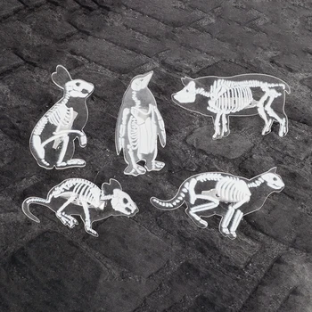 

Animal Skeleton Pin Brooch Transparent Acrylic Penguin Pig Rrabbit Cat Mouse Skull Enamel Pin Badge Animal Brooch for Women Men