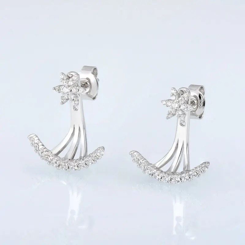 E308737WCZSL925-SV4-Silver Earrings
