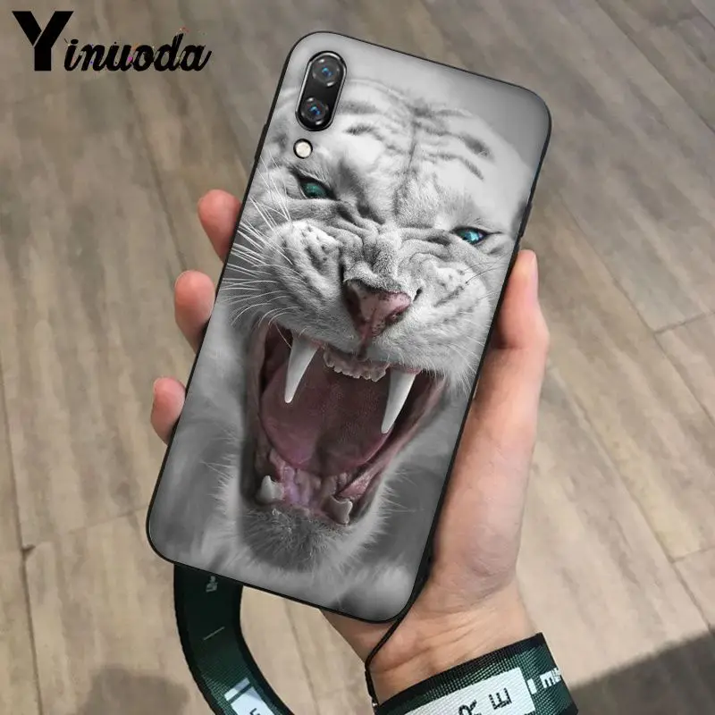 Tiger Leopard Print Panther