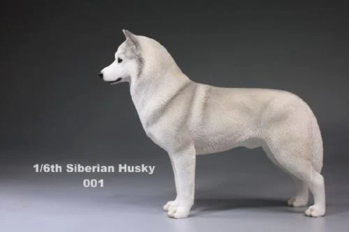 1/6(1") аксессуар для фигурки 1:6 Siberian Husky Simulation animals XVI 001 собачьи игрушки модели