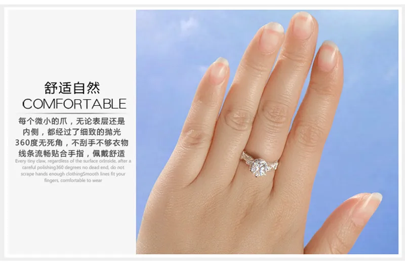 R2036 (3)_