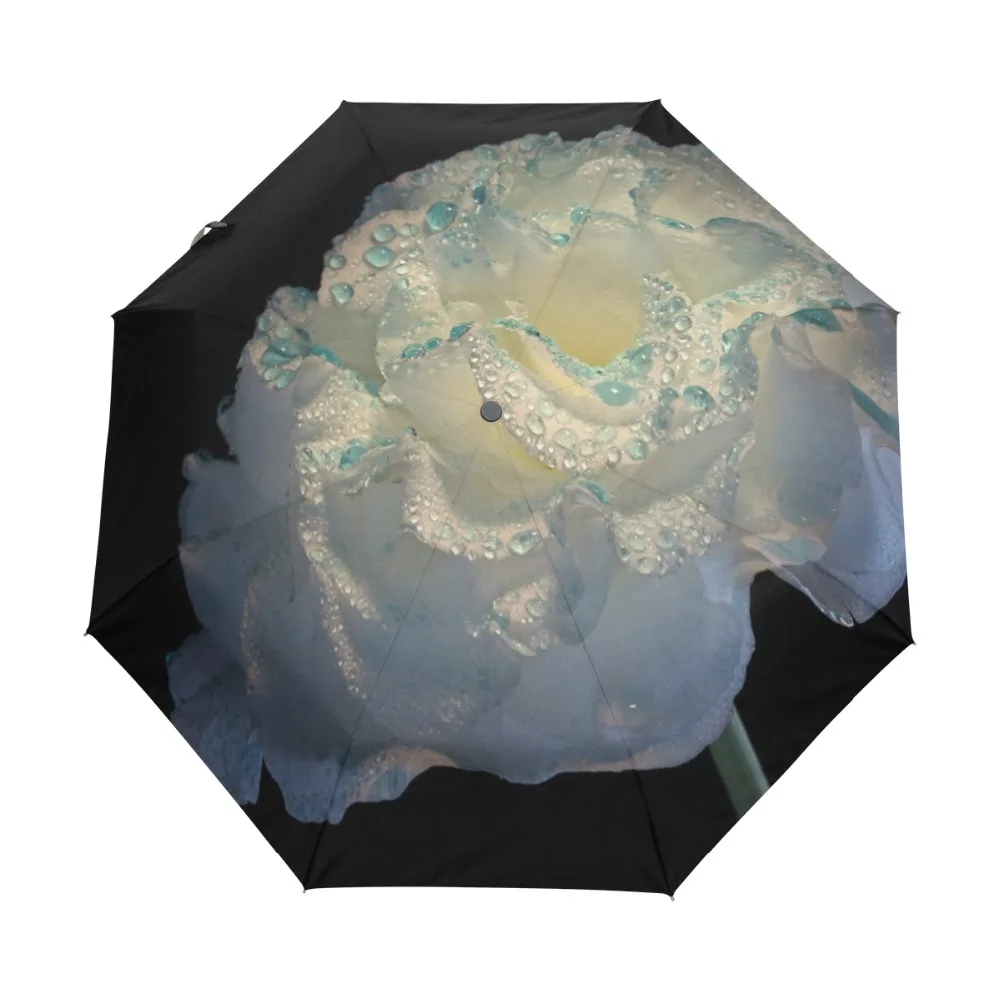 g3059914p127c141s212_0