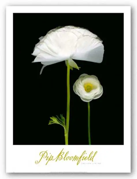 Two Friends I 16x19 Art Print Poster