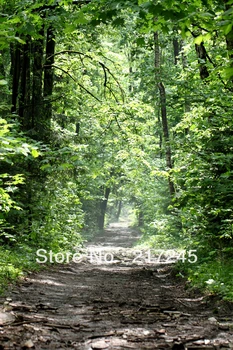 

Art Fabric Photography Backdrop jungle scene Custom Photo Prop backgrounds 5ftX7ft D-657