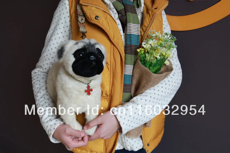 Get Fuzzy Nation Dog Handbags Pics