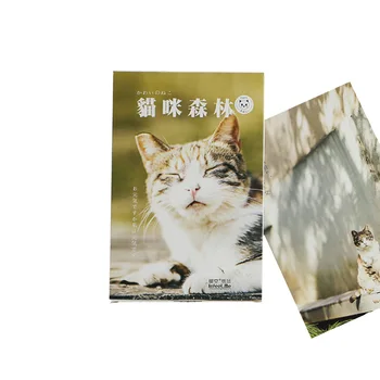 

30pcs/pack Kawaii Cute Cat Forest Postcard Party Favor Greeting Card Travel Supply For Girl Gift Cute Animal Greeting Card