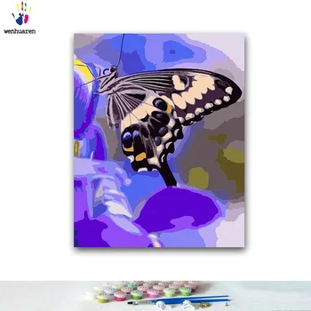 

DIY Coloring paint by numbers butterfly paintings by numbers with kits 40x50 framed