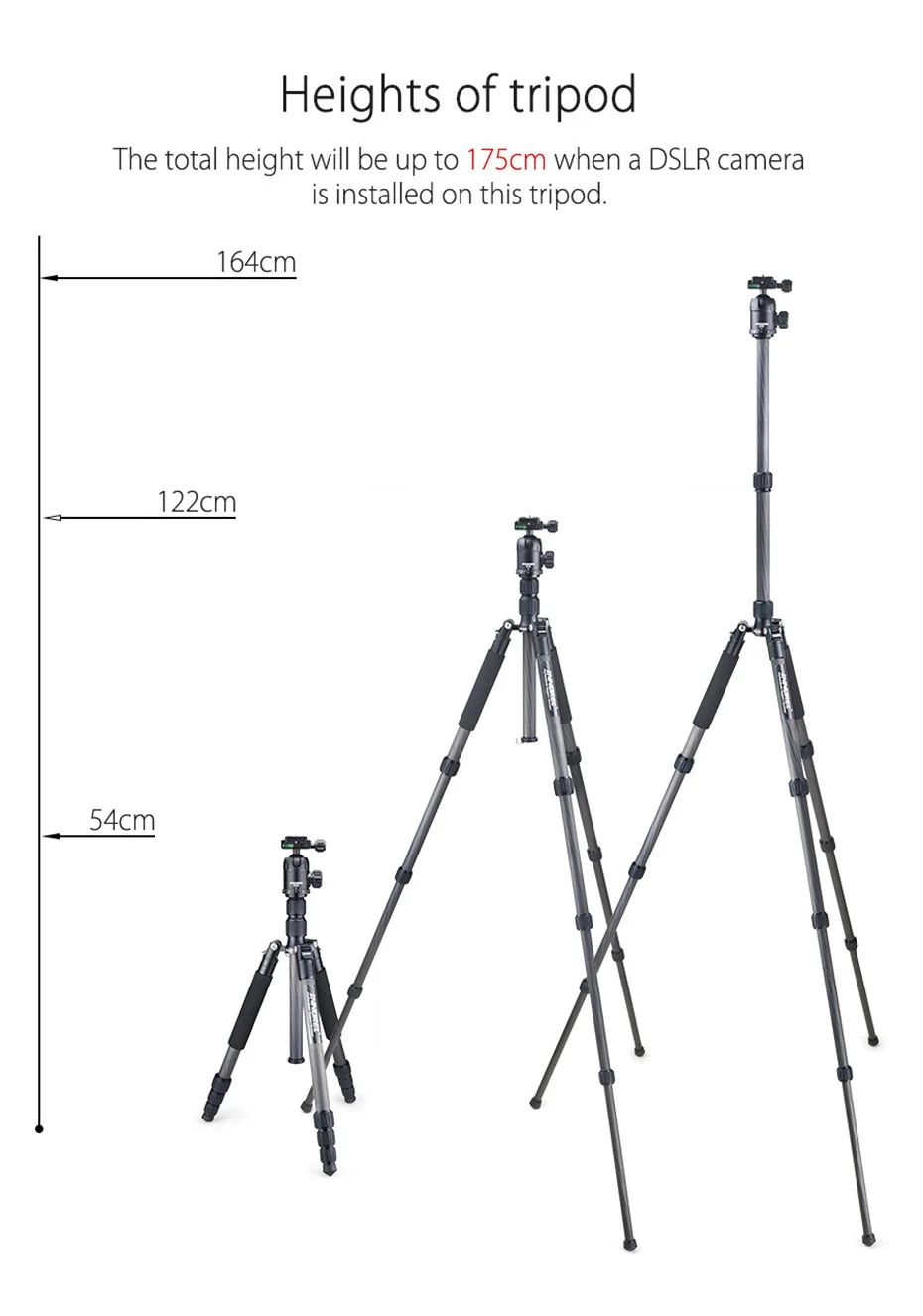 RT40C Carbon Fiber Camera Tripod Professional Travel Compact Tripod Video Monopo