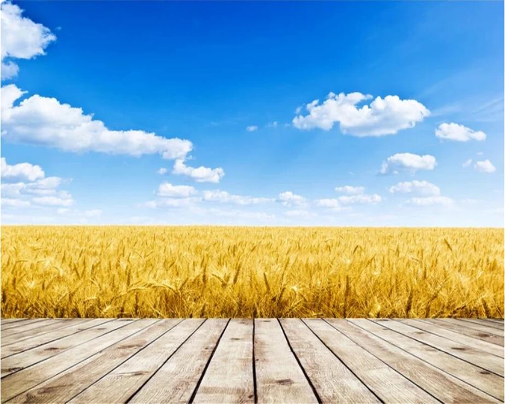 Golden Wheat Field Captured In Soft Light With Subtle Illumination, Wheat,  Wheat Photography, Wheat Field Background Image And Wallpaper for Free  Download, image size:1000x800