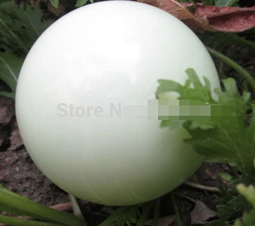 

A Glow In The Dark Stone Luminous Quartz Crystal Sphere Ball 70mm (0601)
