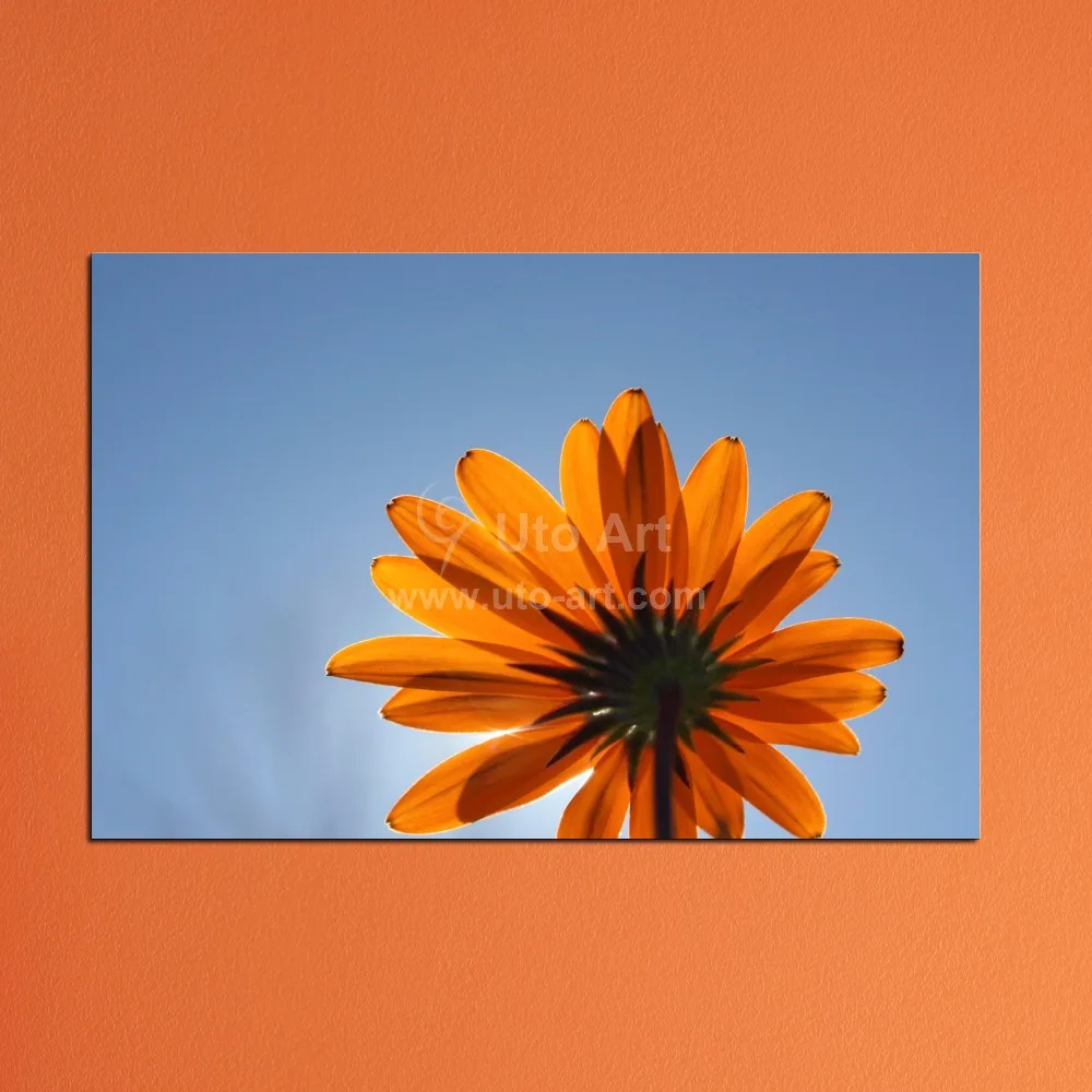 Oranje canvas schilderijen promotie winkel voor promoties oranje ...