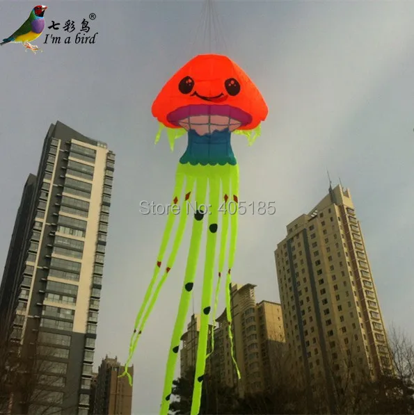

Free Shipping Outdoor Fun Sports 2015 NEW High Quality 8.5 m Power Jellyfish Software Kite Ripstop Nylon Fabric Good Flying