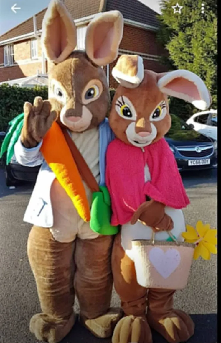 

Peter Rabbit Mascot Costumes boys rabbit and girl rabbit easter bunny mascot cotumes for Halloween party event