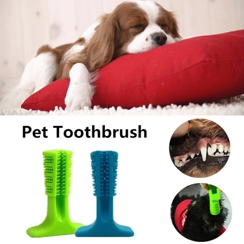 Dog toothbrush pet toy pet dog chewing toy plush dog small toothbrush
