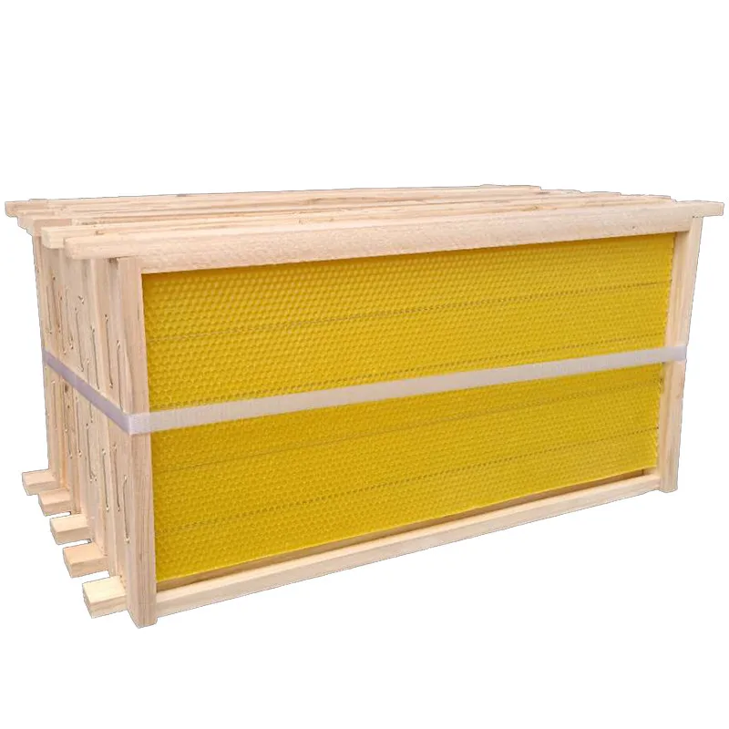 

Honeycomb bee nest bee hive beekeeping tool beehive frames for flow hive