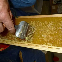 Вилка-расческа из нержавеющей стали для пчеловодства с деревянной ручкой, оборудование для пчеловодства