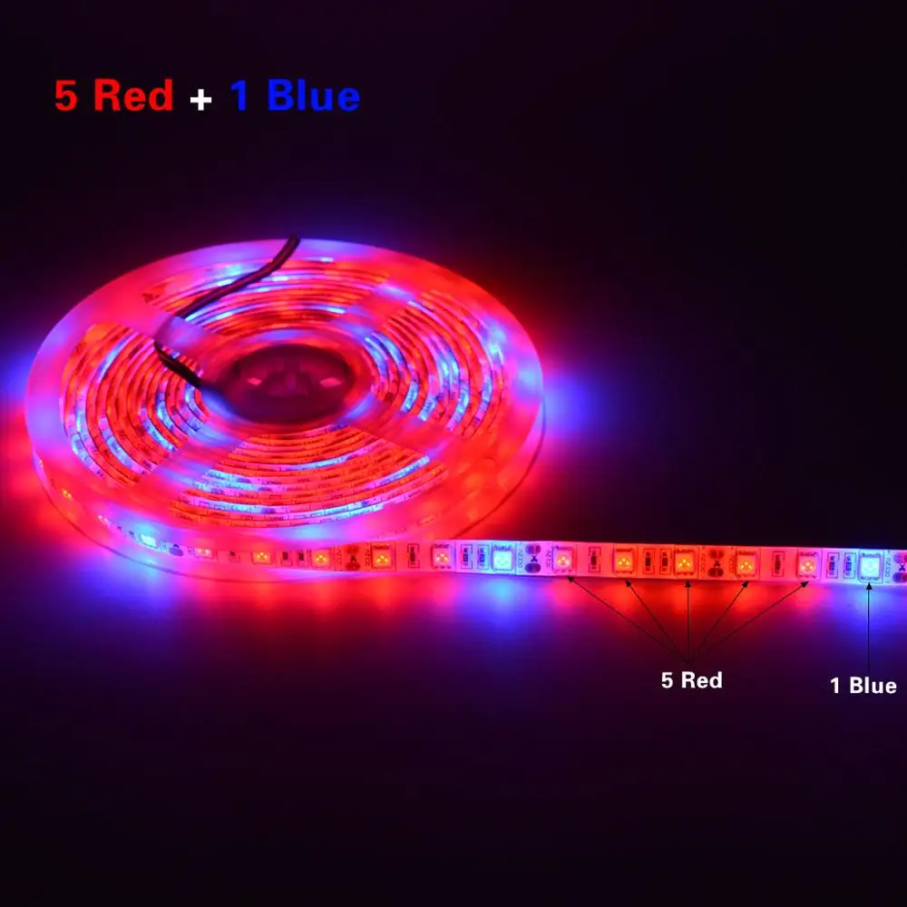 5 м 12 В Светодиодная лампа для выращивания растений светодиодные полосы гидропонные системы SMD 5050 60 светодиодный/м лампы для выращивания теплиц растений водонепроницаемые - Испускаемый цвет: 5 Red 1 Bule