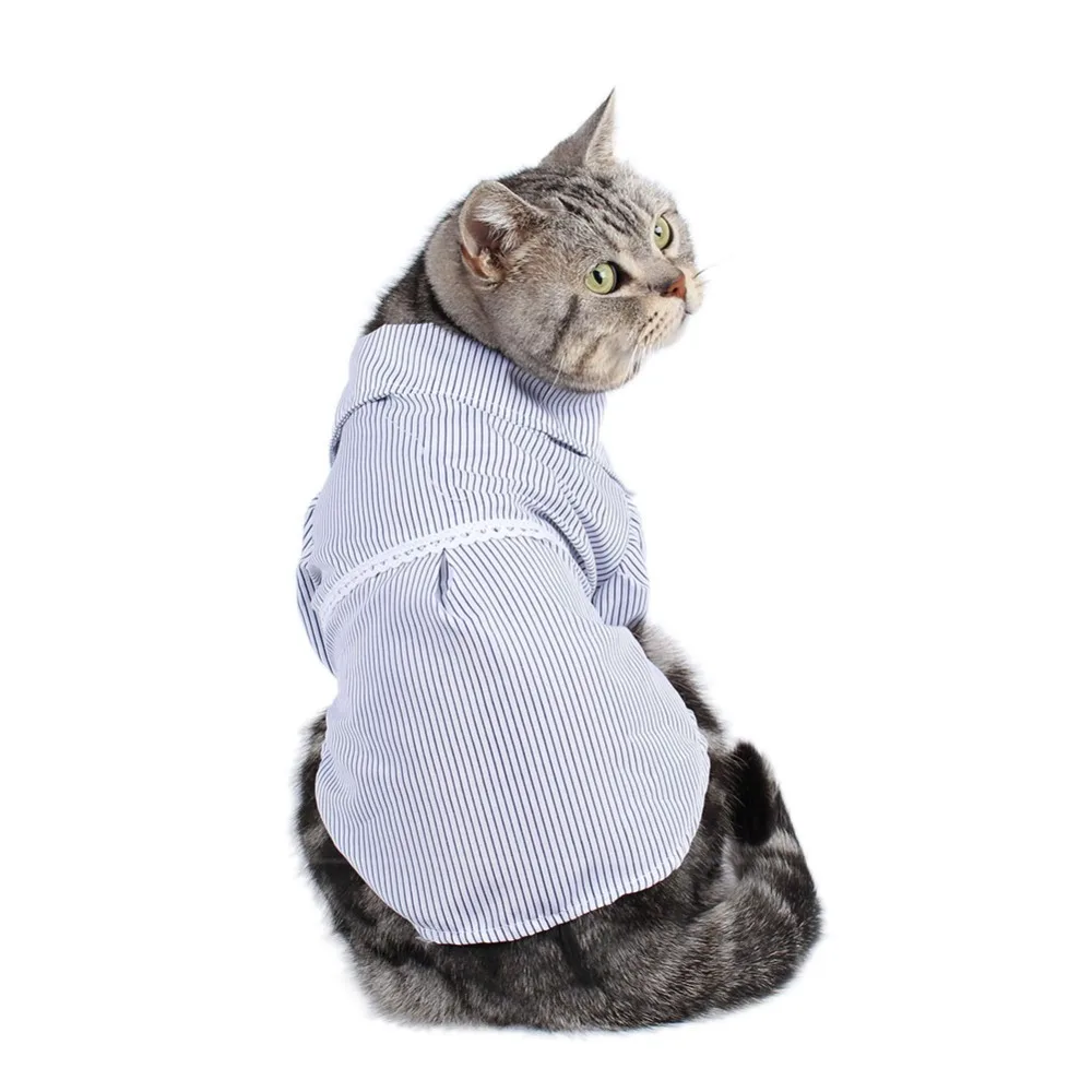 Одежда для кошек; костюм; одежда для домашних животных; Одежда для кошек; пальто для маленьких собак; футболки с котенком каттеном; kleding animaux de compagnie katzen