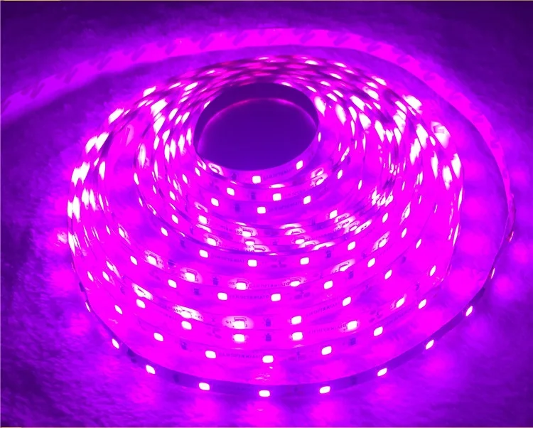 TB2qeVKpr0kpuFjy0FjXXcBbVXa_!!2652376272