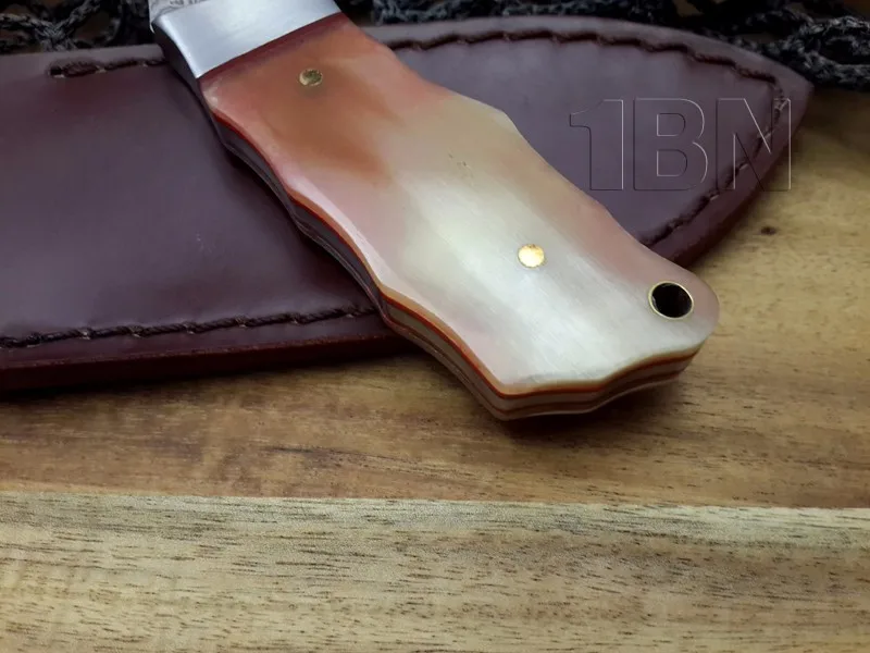 HTB15t5sKFXXXXcIaXXXq6xXFXXXt