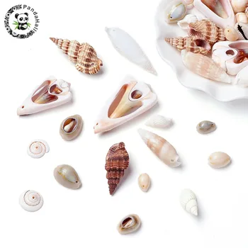 

PANDAHALL 500g Trumpet Shell Beads Dyed Mixed Style Mixed Color For DIY Jewelry Making Necklaces Bracelets,16~45mm Wholesale