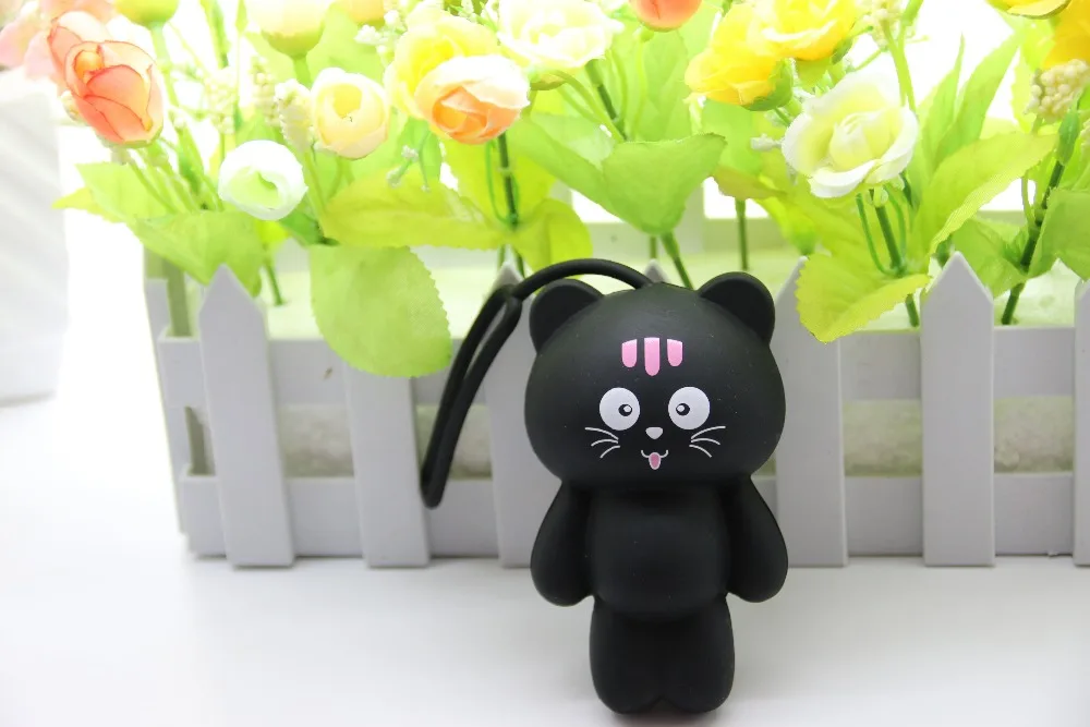 black cat