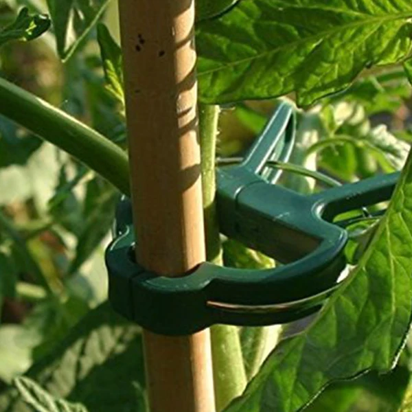

60 pcs. Green Plant Clips Plant Clamps Perfect for Plant Protection Supported