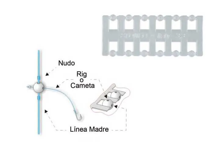 UT8r3r0Xv0XXXagOFbXL