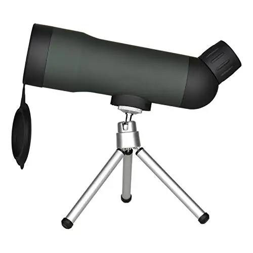 31BYG8XS6gL
