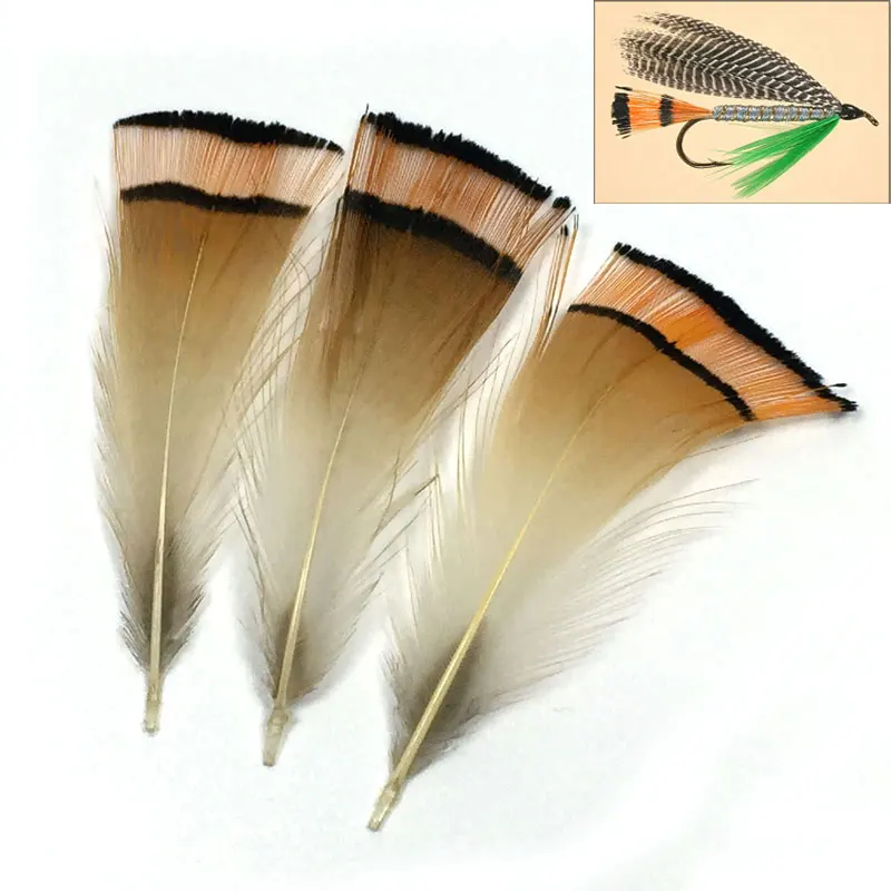 100PCS Natural Golden Pheasant Head Feather Fly Tying Materials Used for Tails on the Royal