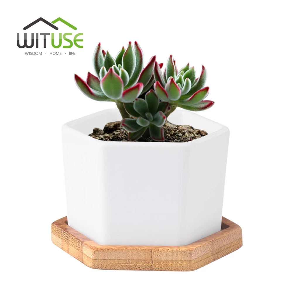 wituse white hexagonal flowerpot ceramic fern succulent plant indoor flower planter garden pot desktop decorative for - Decorative Planters wituse white hexagonal flowerpot ceramic fern succulent plant indoor flower planter garden pot desktop decorative for - Decorative Planters