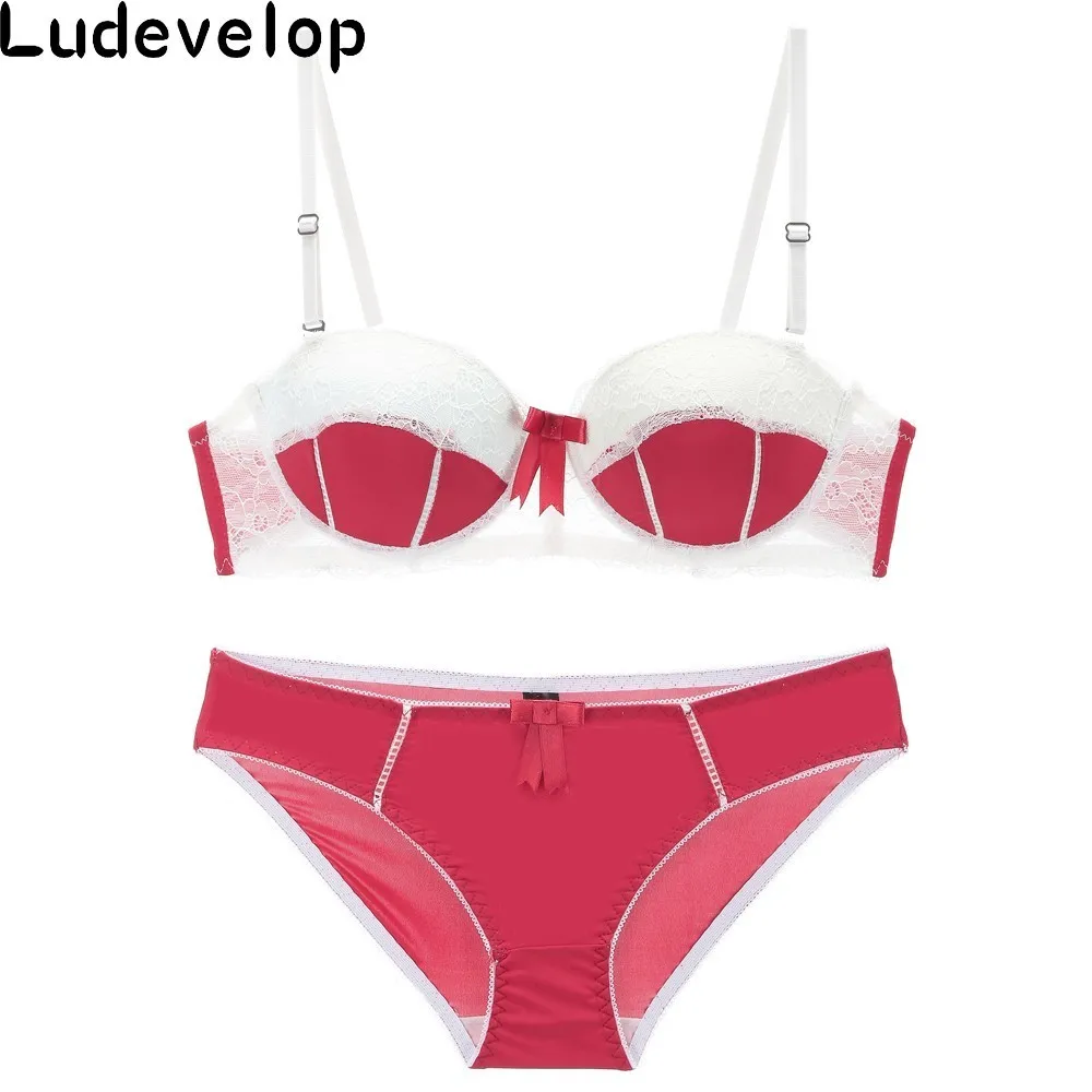 Push Up Bra Set Top Sexy Lace Bra & Panties Plus Size Elegant Embroidery Floral Print Adjustable Strap Lingerie Sets