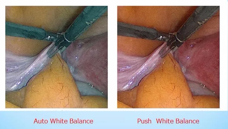 ENDOSCOPE CLINIC
