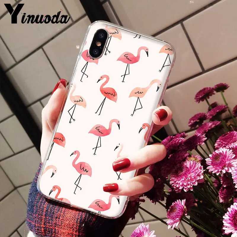 Flamingo Cute Animals Birds