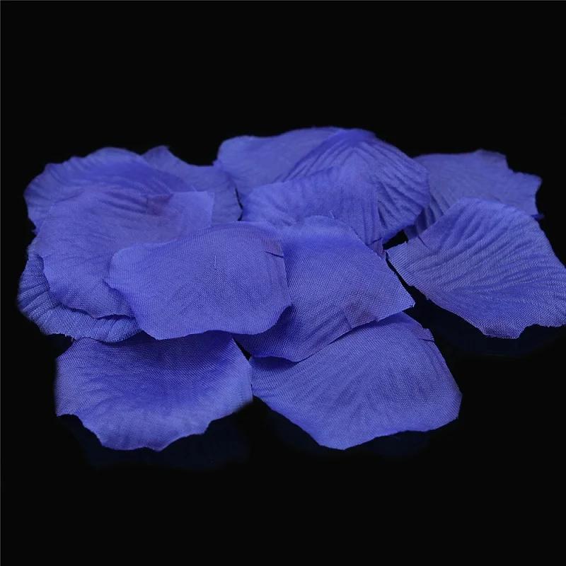 C31-C06 royal blue (3)