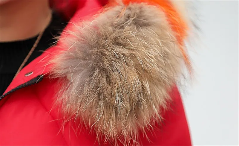 20180810_101633_045