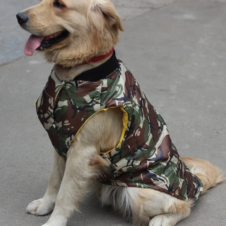 T-shirt Femmes 13177 Labrador retriever CHIEN DOG CHIOT Breed race animal de compagnie Labbi